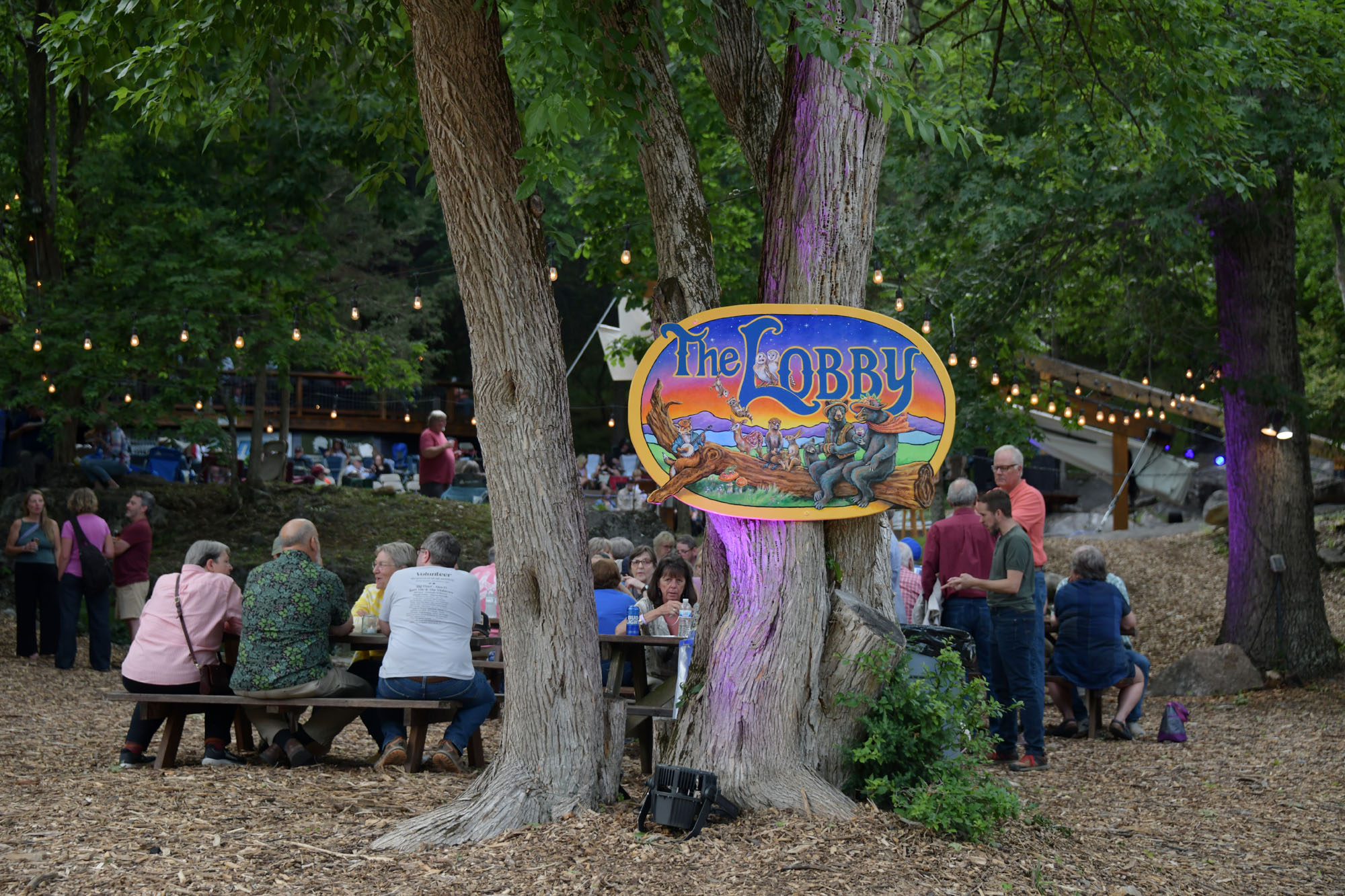 outdoor music gathering.