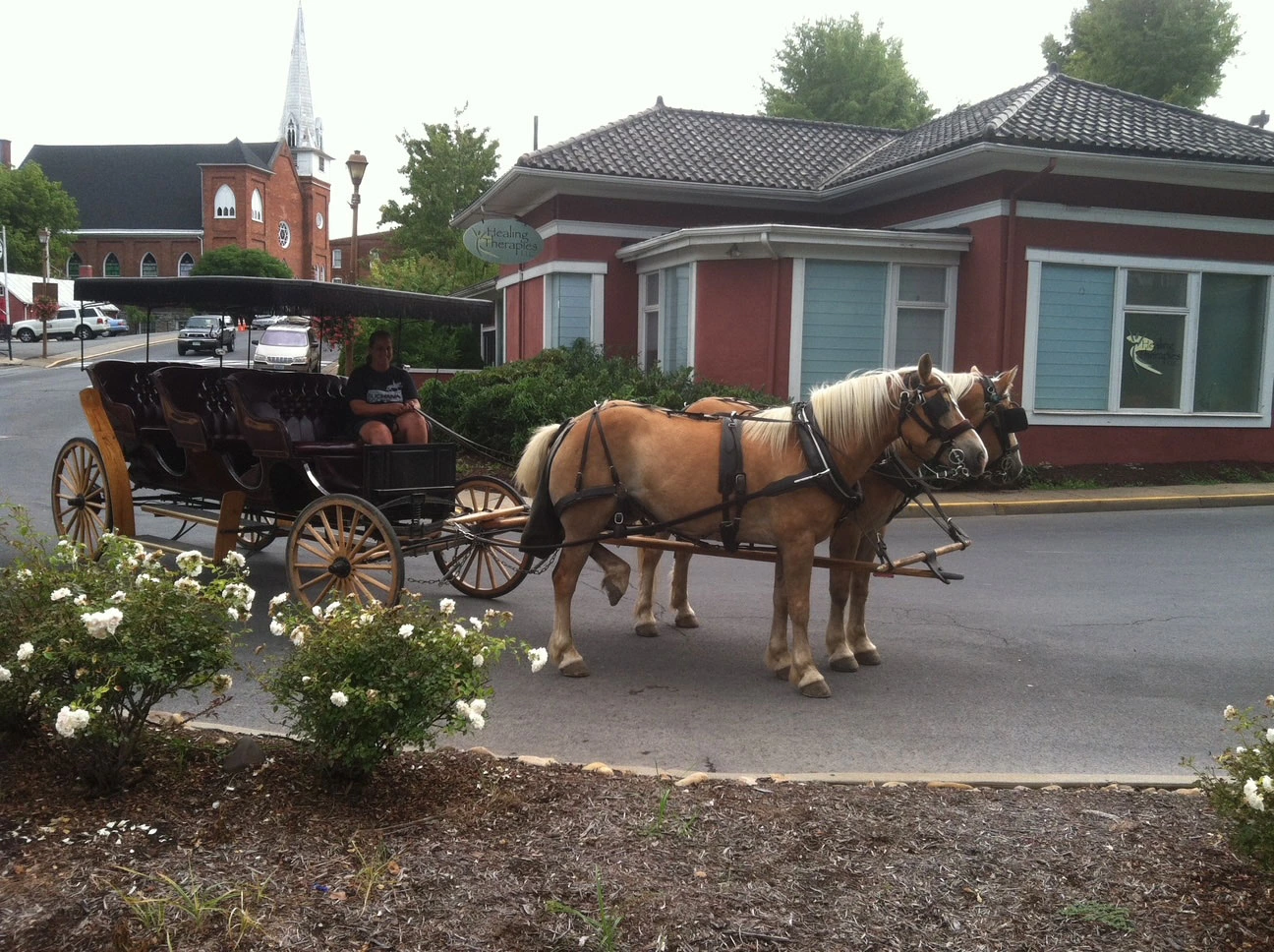 A horse-drawn carriage with two horses stands on a street, surrounded by flowering bushes and historic buildings in the background.
