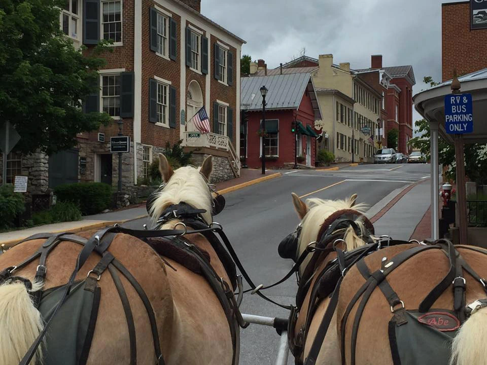 Two white horses pull a carriage up a charming, historic street lined with brick buildings and greenery on a cloudy day.