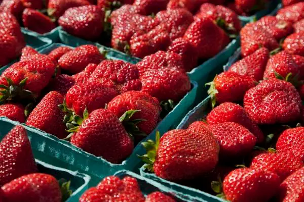 Tips for Visiting Farmers Markets.